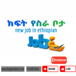 Ethiopian Freelancer