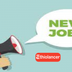 New job EthioLancer Champions academy