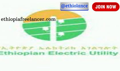 Ethiopian Electric Utility New Job Vacancy 2022