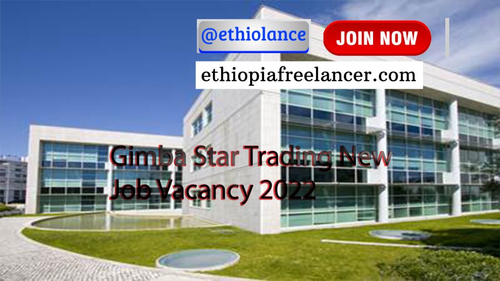 Gimba Star Trading New Job Vacancy 2022