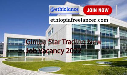 Gimba Star Trading New Job Vacancy 2022