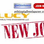 Luci Engineering PLC Job New Vacancy 2022
