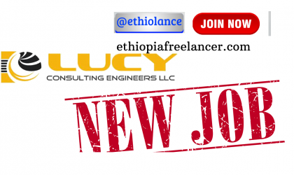 Luci Engineering PLC Job New Vacancy 2022