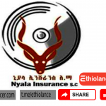 New job Nyala Insurance 2022