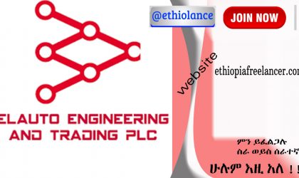 Elauto Engineering and Trading