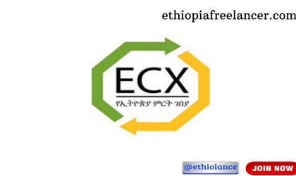 Ethiopia Commodity Exchange New Job Vacancy 2022