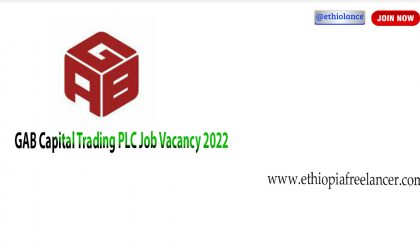 GAB Capital Trading PLC New Job Vacancy 2022