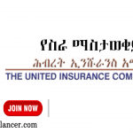 Insurance Company Job Vacancy 2022