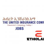 Hibret Insurance is hiring 2022 job vacancy