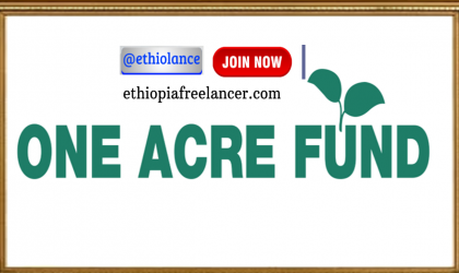 One Acre Fund Ethiopia Job Vacancy 2022 [Experienced Only]: A total of 01 “Tree Program Director” vacancies for Experienced only Candidates. Applicants must apply before April 30, 2022. The One Acre Fund Ethiopia is currently located at Addis Ababa.