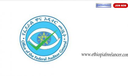 Federal Auditor General Ethiopia New Job Vacancy 2022