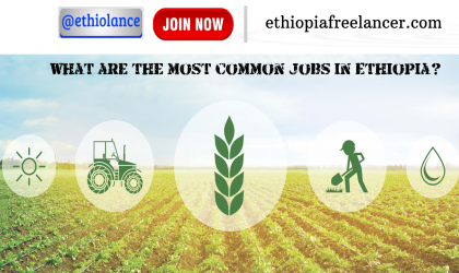 What are the most common jobs in Ethiopia?