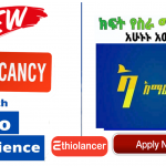 Amhara Bank new job Vacancy October 2022