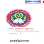 Addis Ababa University New Job Vacancy 2022