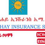 Tsehay insurance SC new job vacancy