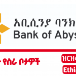 Bank Of abyssinia new job vacancy