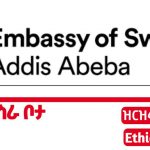 Embassy of sweden new vacancy