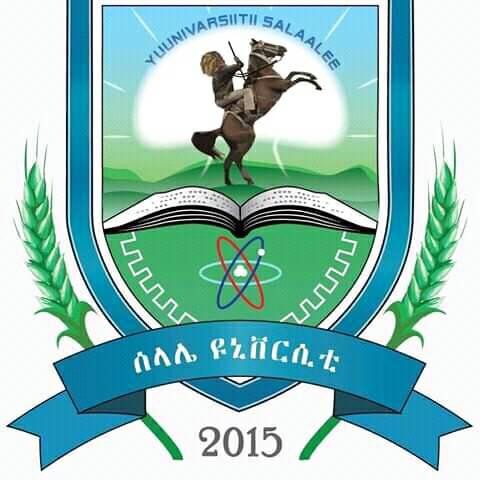 Selale University External Vacancy Announcemnt