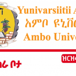 Ambo University Ethiopia Job Vacancy 2022