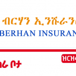 Berhan Insurance S.C new job vacancy