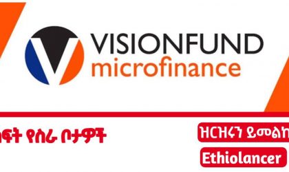 Vision fund microfinance
