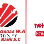 Gadaa Bank job vacancy November 2022