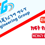 Ethio Engineering Group new job vacancy