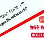 Yegna Microfinance Institution is a microfinance institution job vacancy
