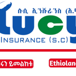 Lucy Insurance Sc job new